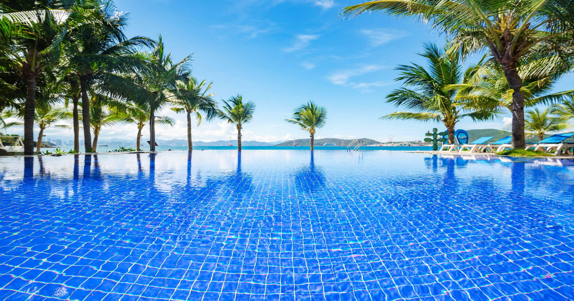 Gói “Gà Biển” Độc Đáo